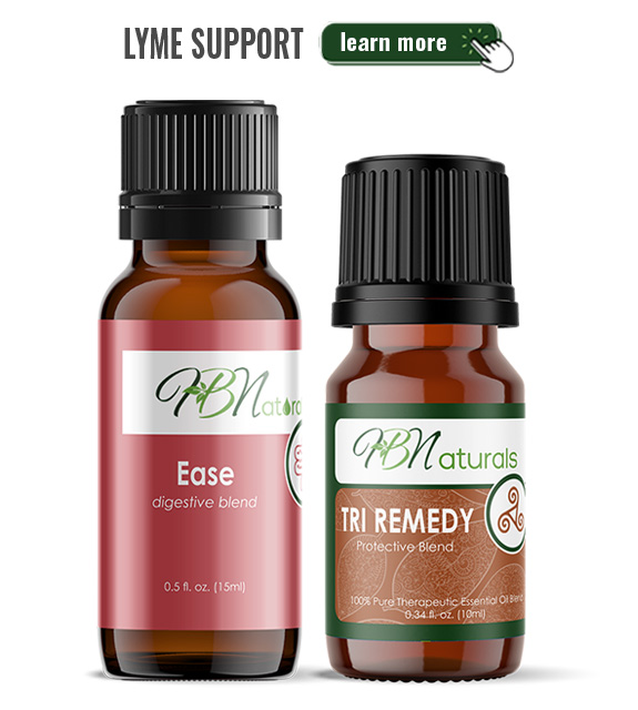 Lyme Support