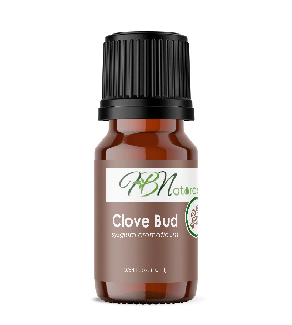 Clove Bud