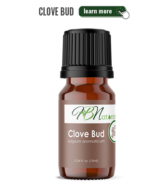 Clove Bud