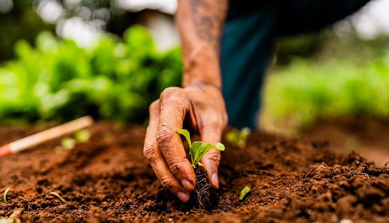 Pure, Farm-Sourced Ingredients