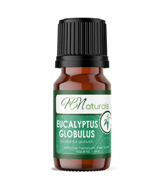 Eucalyptus Globulus