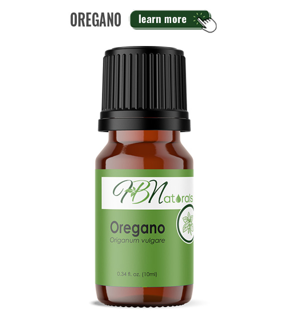 Oregano