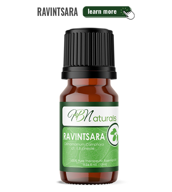Ravintsara