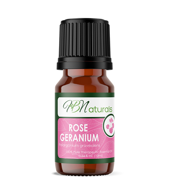 Rose Geranium