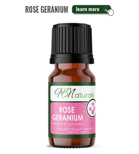 Rose Geranium