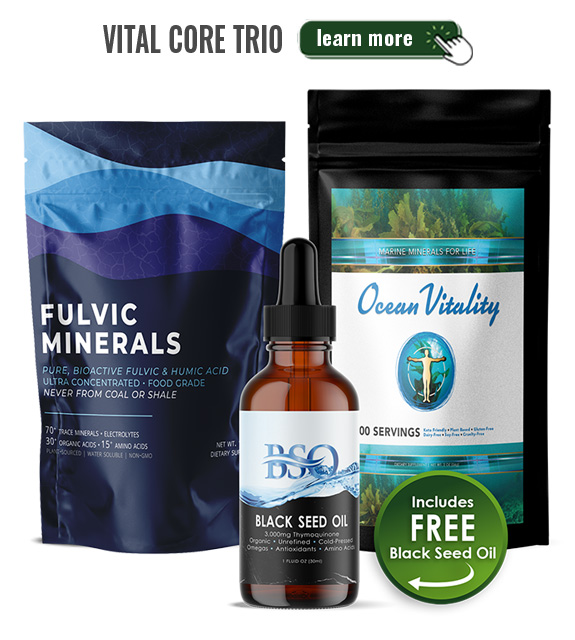 Vital Core Trio