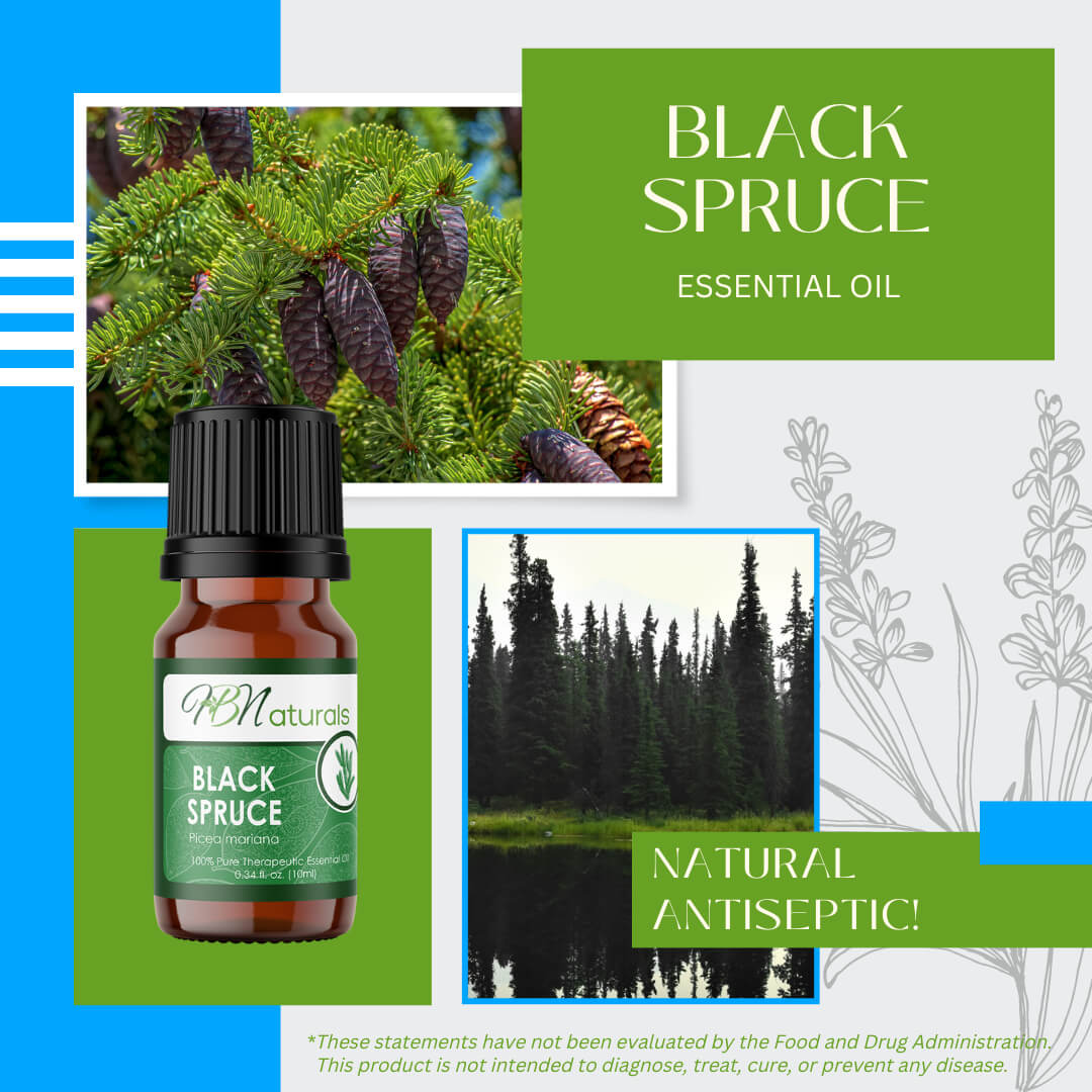 Black Spruce Essential Oil