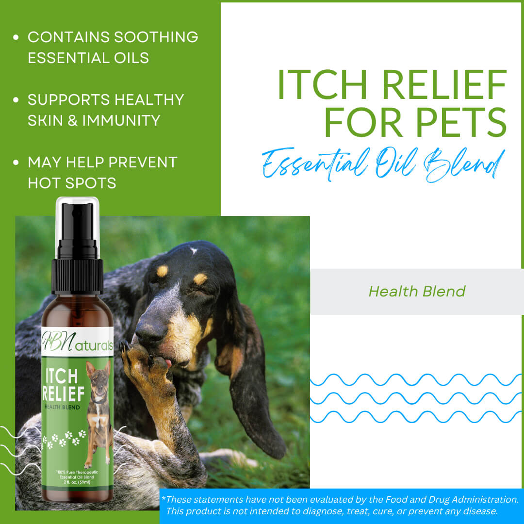 Itch Relief For Pets