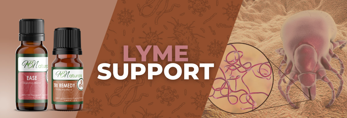 Lyme Support