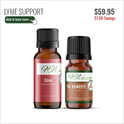 Lyme Support