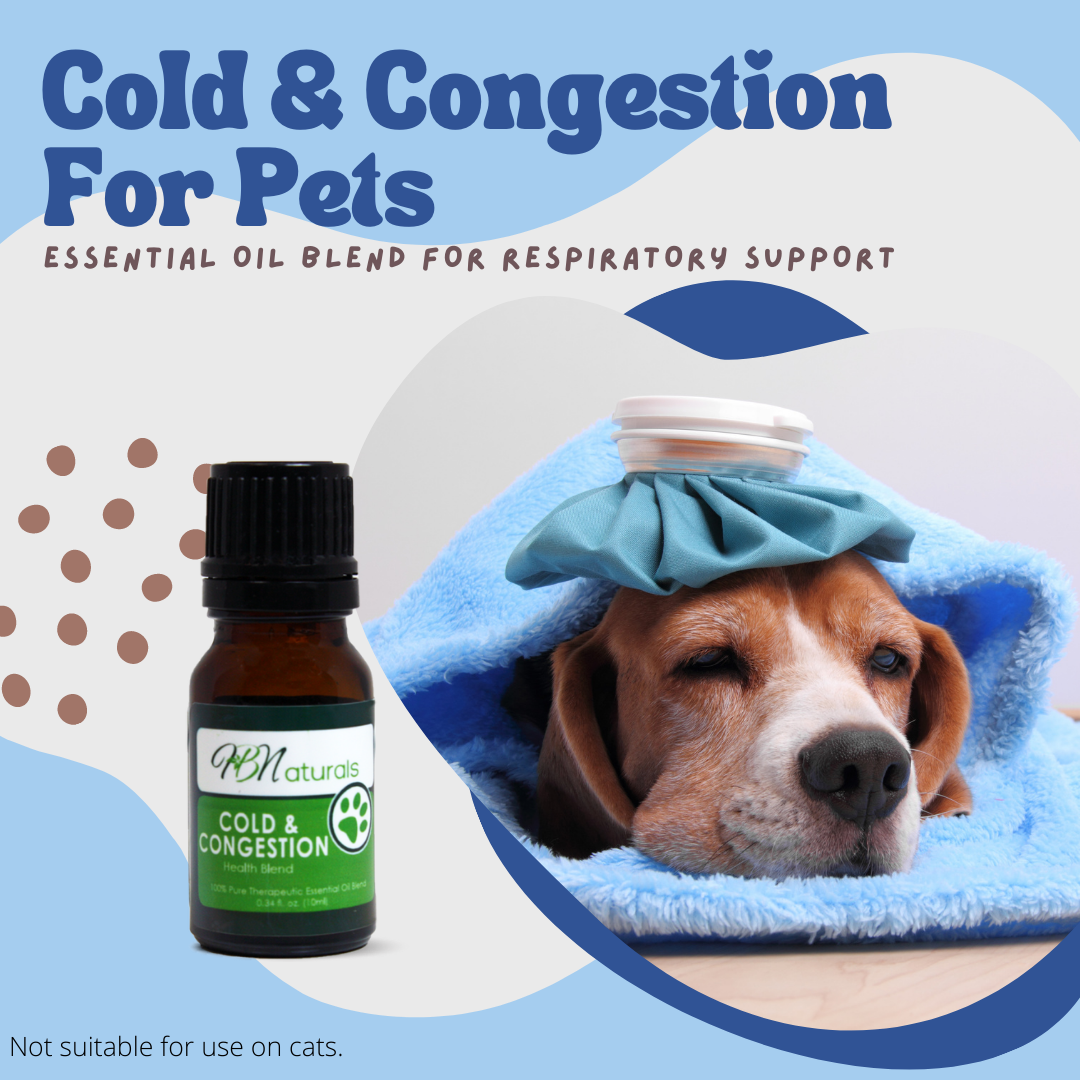 Cold & Congestion For Pets